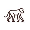 Icono primate andando